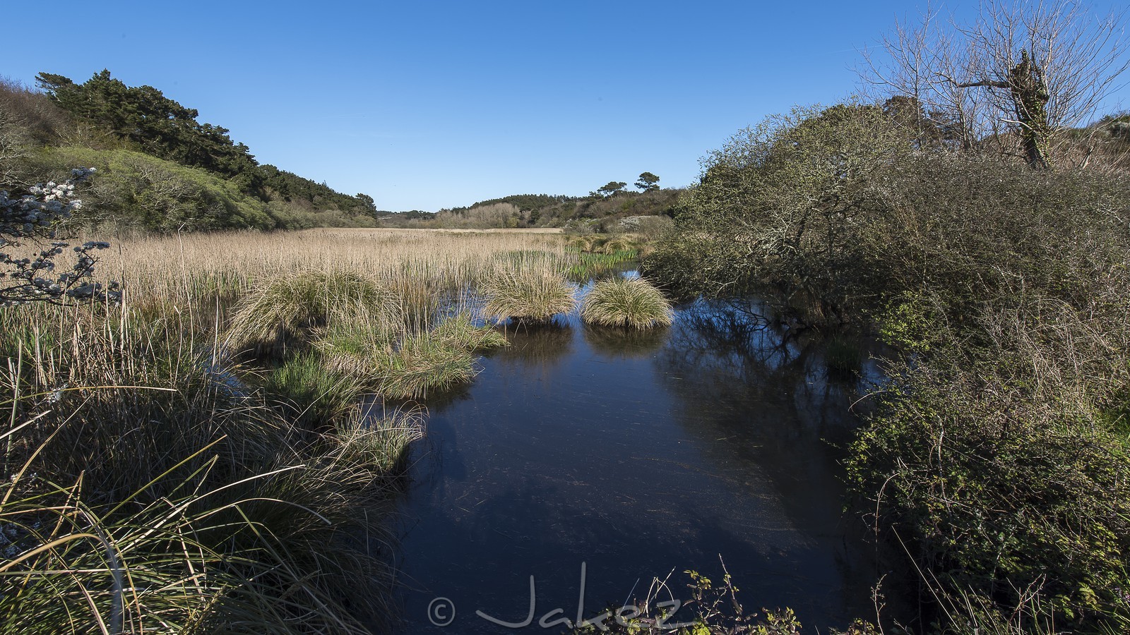 037-etang-de-trunvel.jpg
