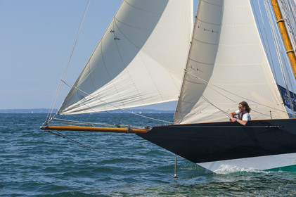 111-hoalen-2024.jpg