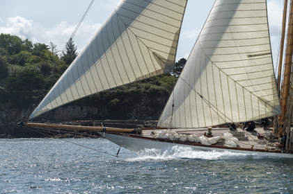 La Hoalen Brest-Douarnenez Classic Finistere est une régate de voiliers classiques magnififiques.