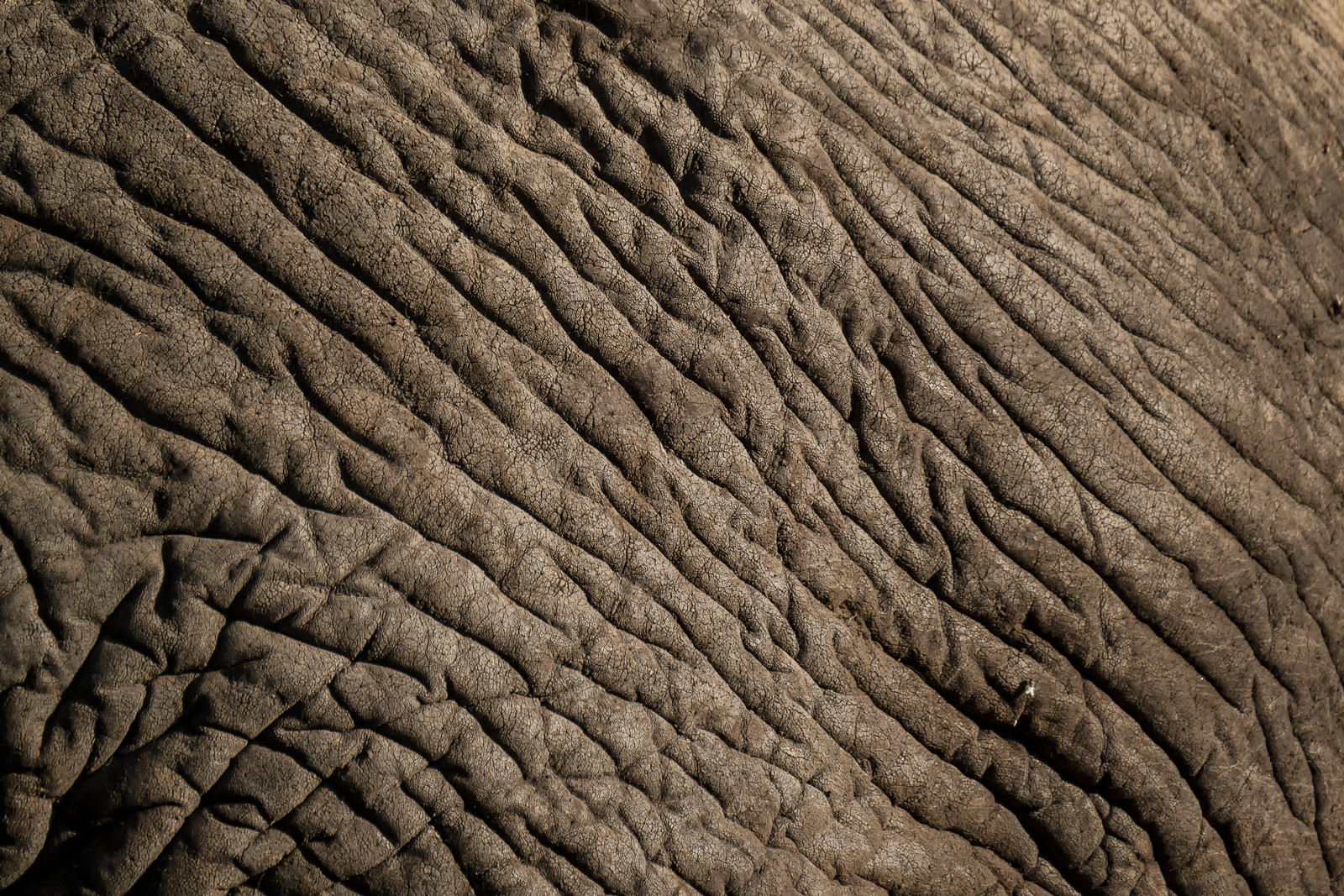 0048-tanzanie-2022.jpg