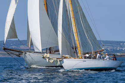 192-hoalen-2024.jpg