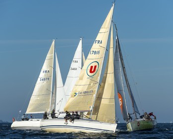 TA-016