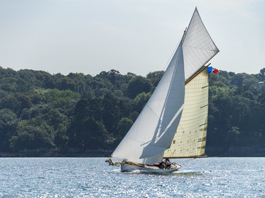 126-hoalen-2024.jpg