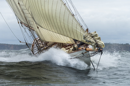 La Hoalen Brest-Douarnenez Classic Finistere est une régate de voiliers classiques magnififiques.