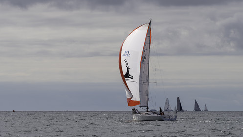 026-spi-2017.jpg