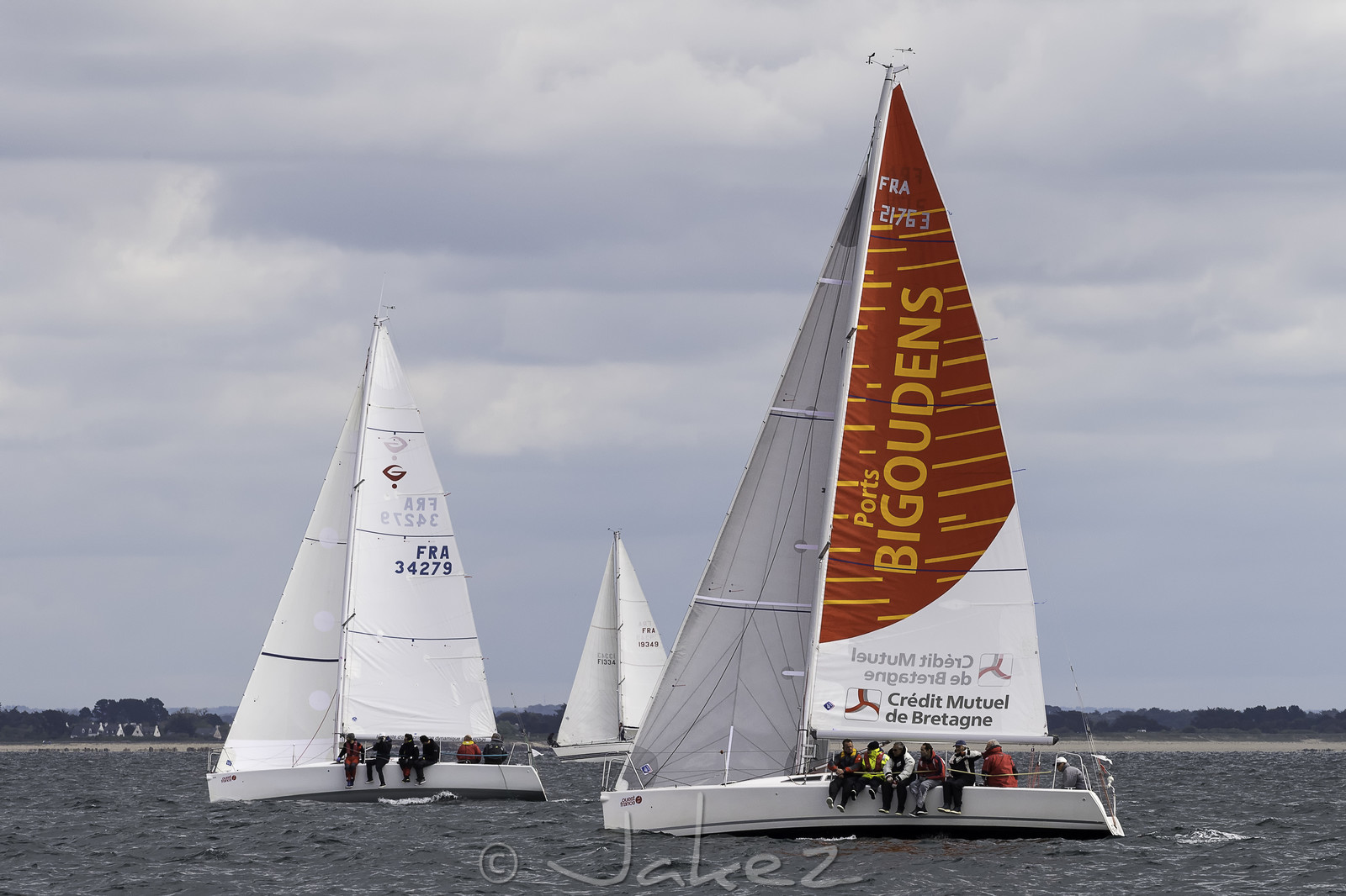 204-spi-2017.jpg