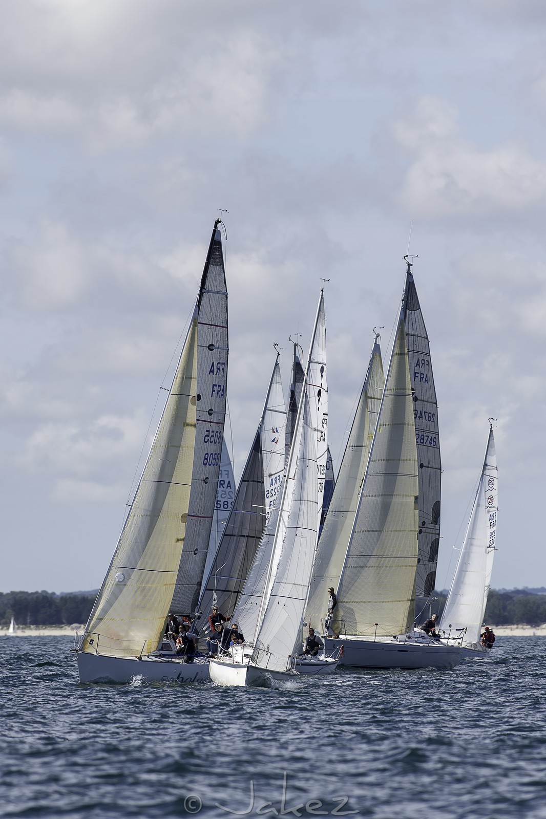 042-obelix-2015.jpg