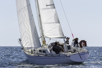 051-obelix-2015.jpg