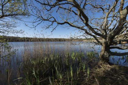 033-etang-de-trunvel.jpg
