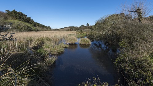 037-etang-de-trunvel.jpg