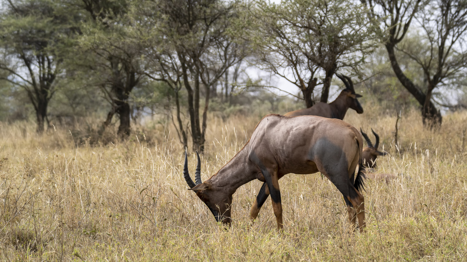 0112-tanzanie-2022.jpg