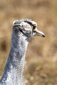 0070-tanzanie-2022.jpg
