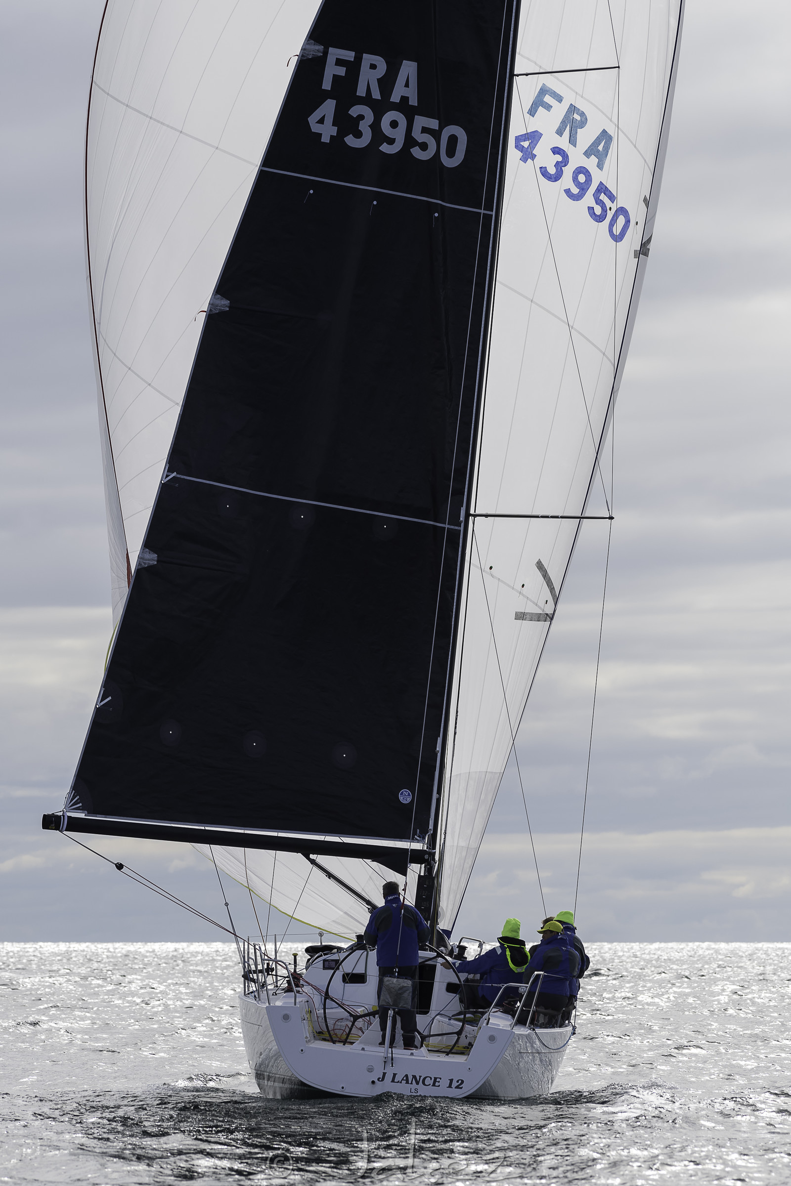 031-spi-2017.jpg