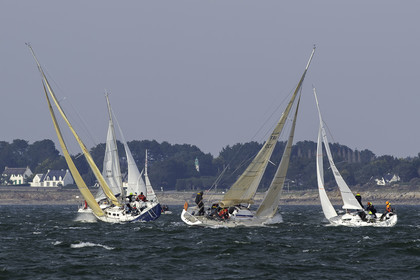 161.jpg