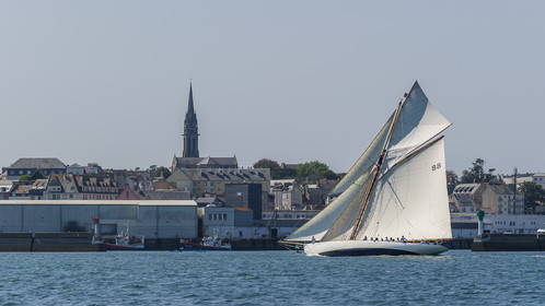 104-hoalen-2024.jpg