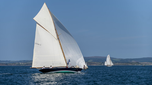 125-hoalen-2024.jpg