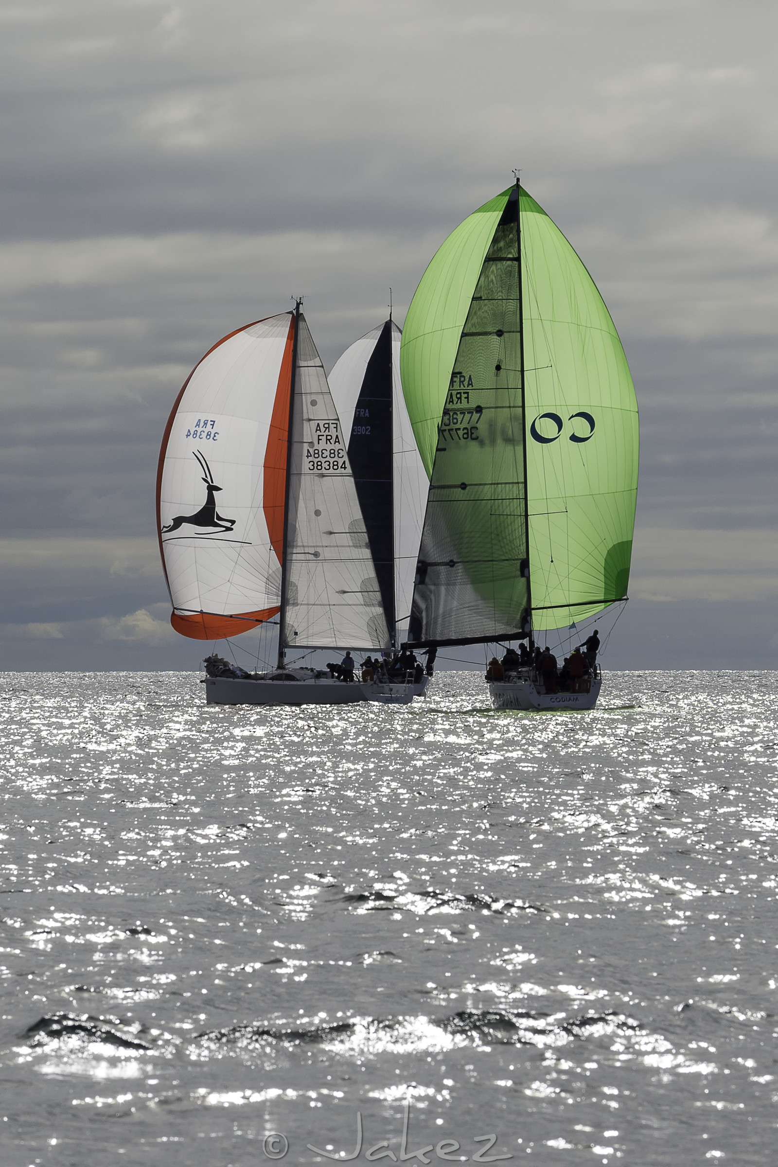 079-spi-2017.jpg