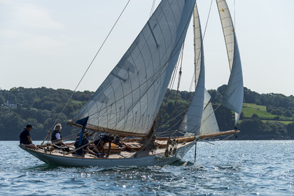 132-hoalen-2024.jpg