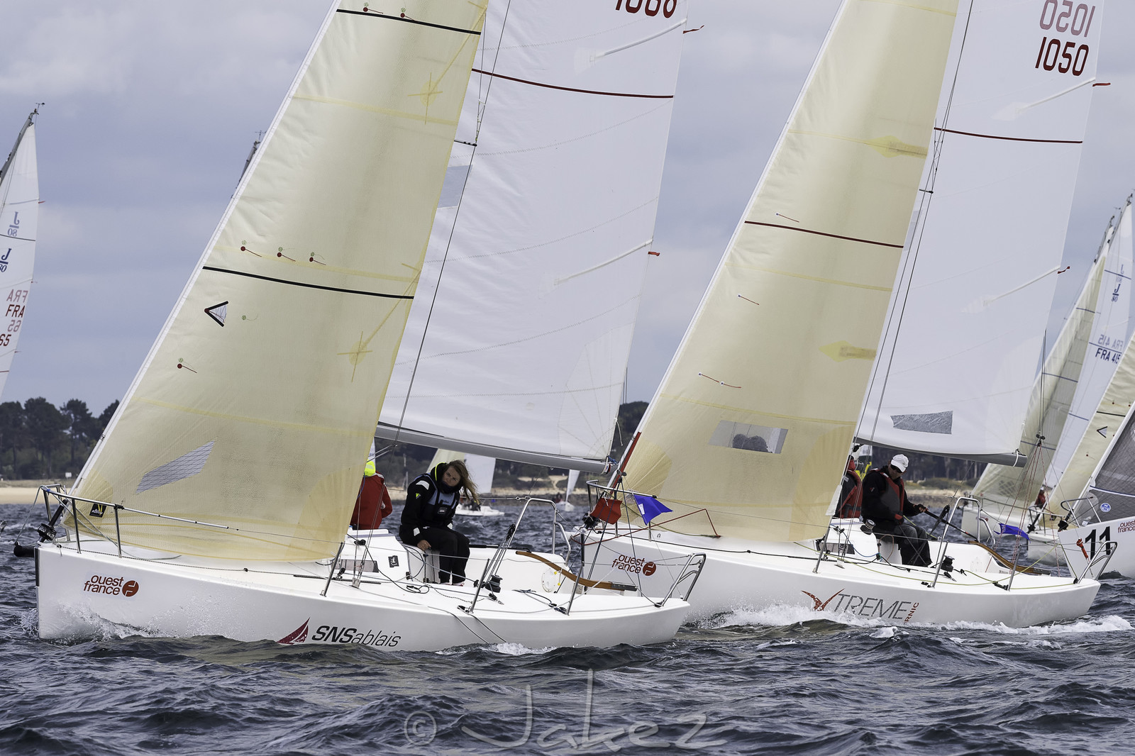 084-spi-2017.jpg
