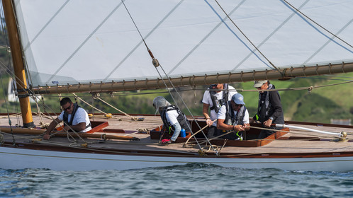161-hoalen-2024.jpg