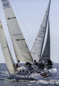 059-obelix-2015.jpg