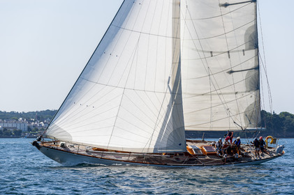 101-hoalen-2024.jpg