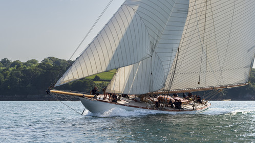 182-hoalen-2024.jpg