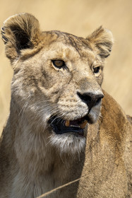 0128-tanzanie-2022.jpg