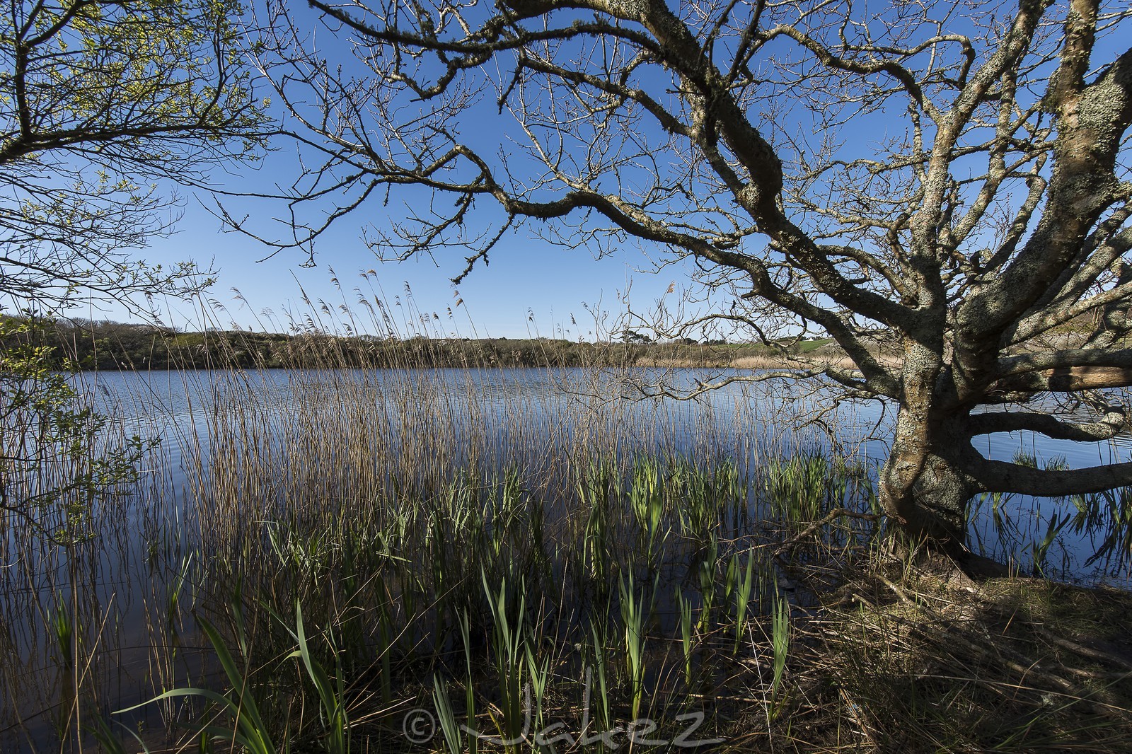 033-etang-de-trunvel.jpg