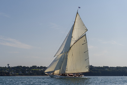 155-hoalen-2024.jpg