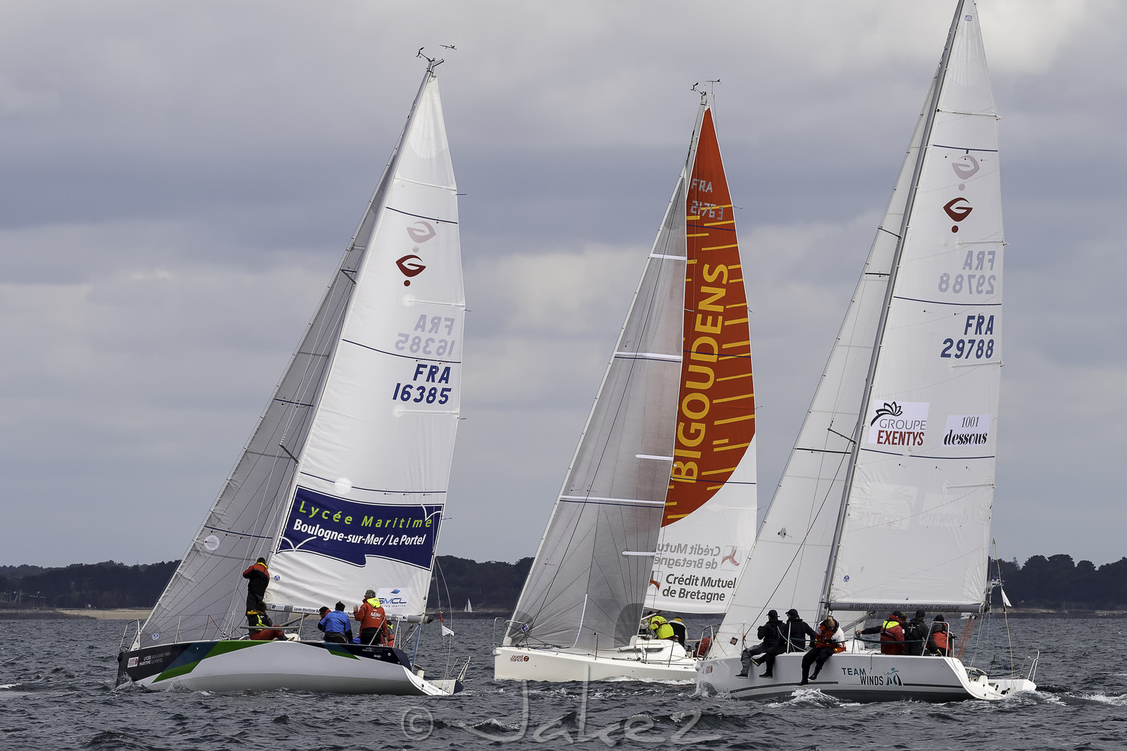 206-spi-2017.jpg