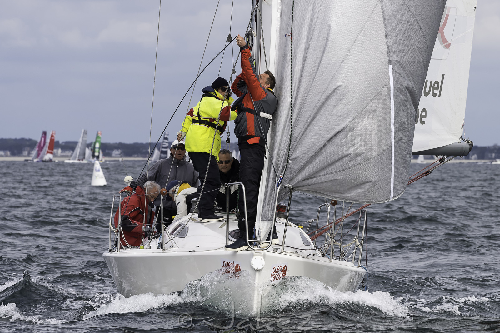 208-spi-2017.jpg