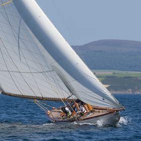 102-hoalen-2024.jpg