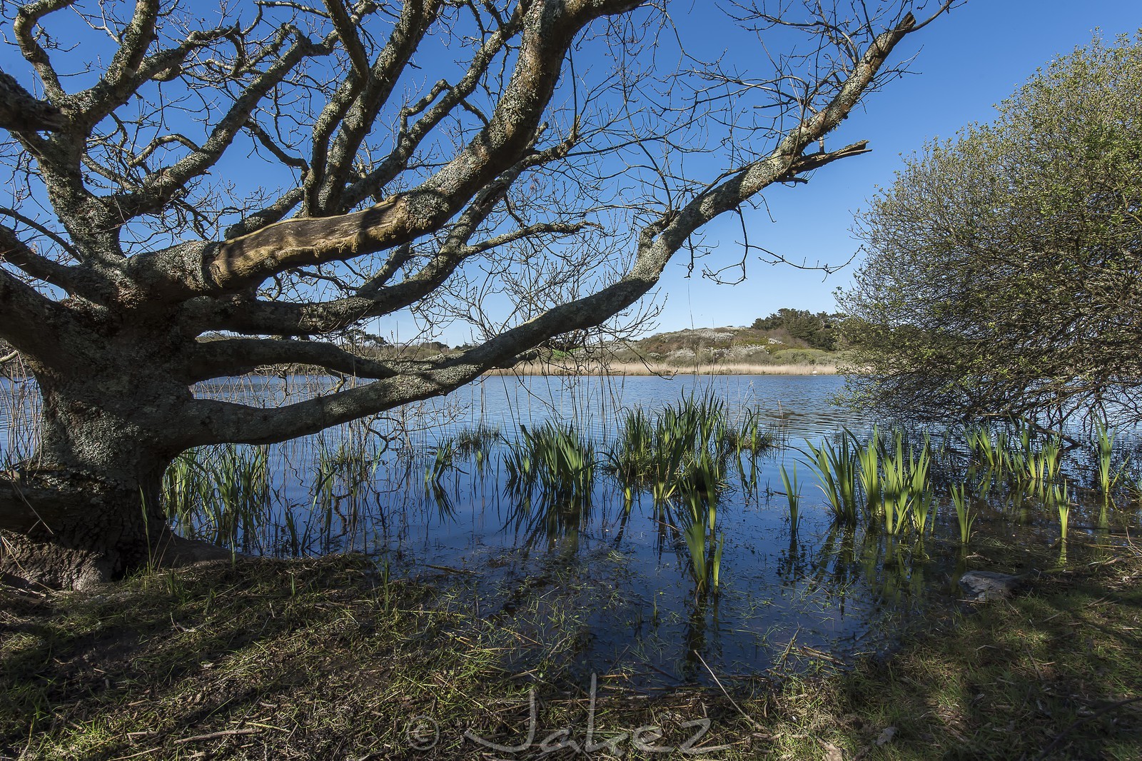 031-etang-de-trunvel.jpg