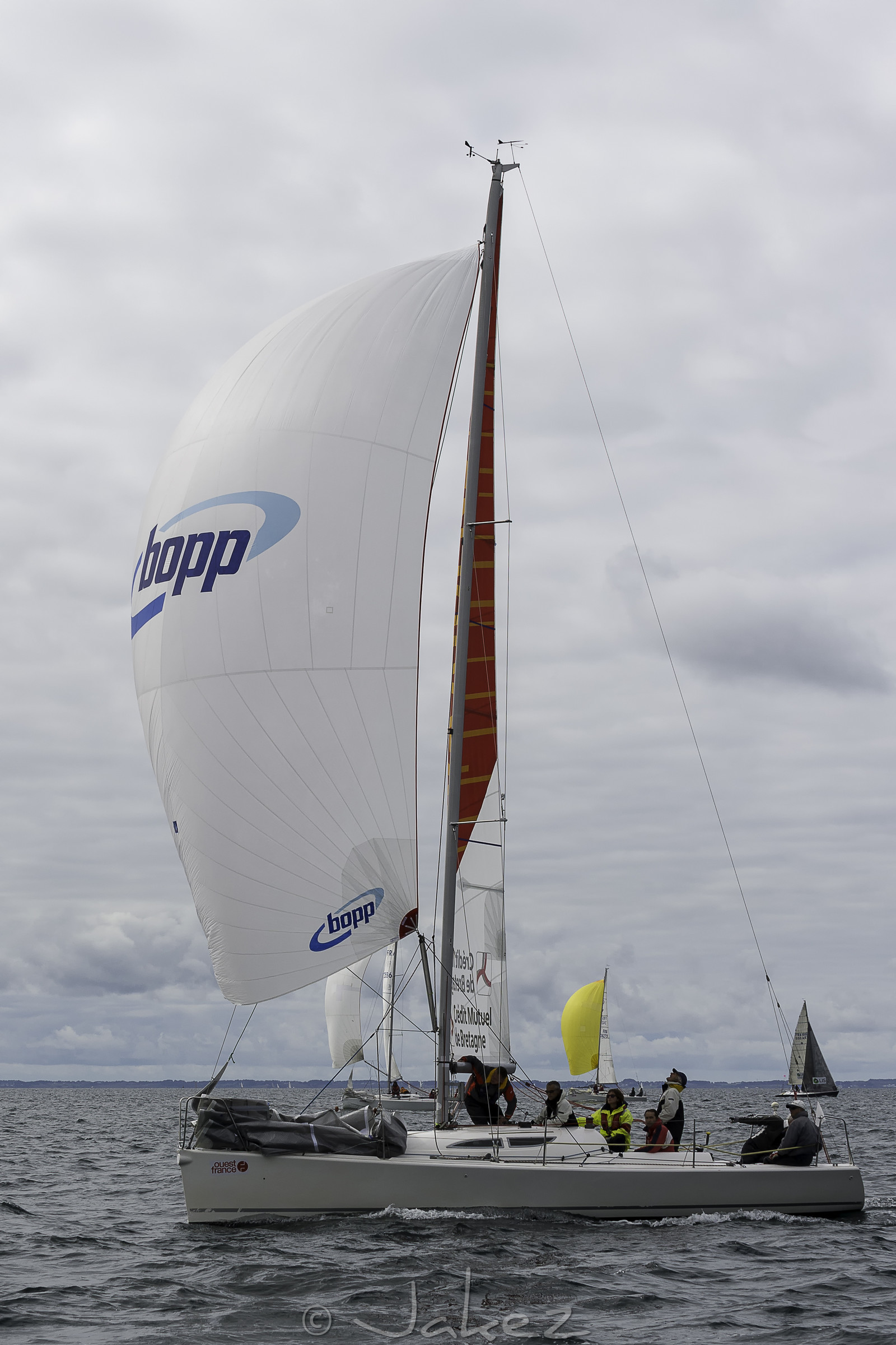 223-spi-2017.jpg