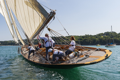 114-hoalen-2024.jpg