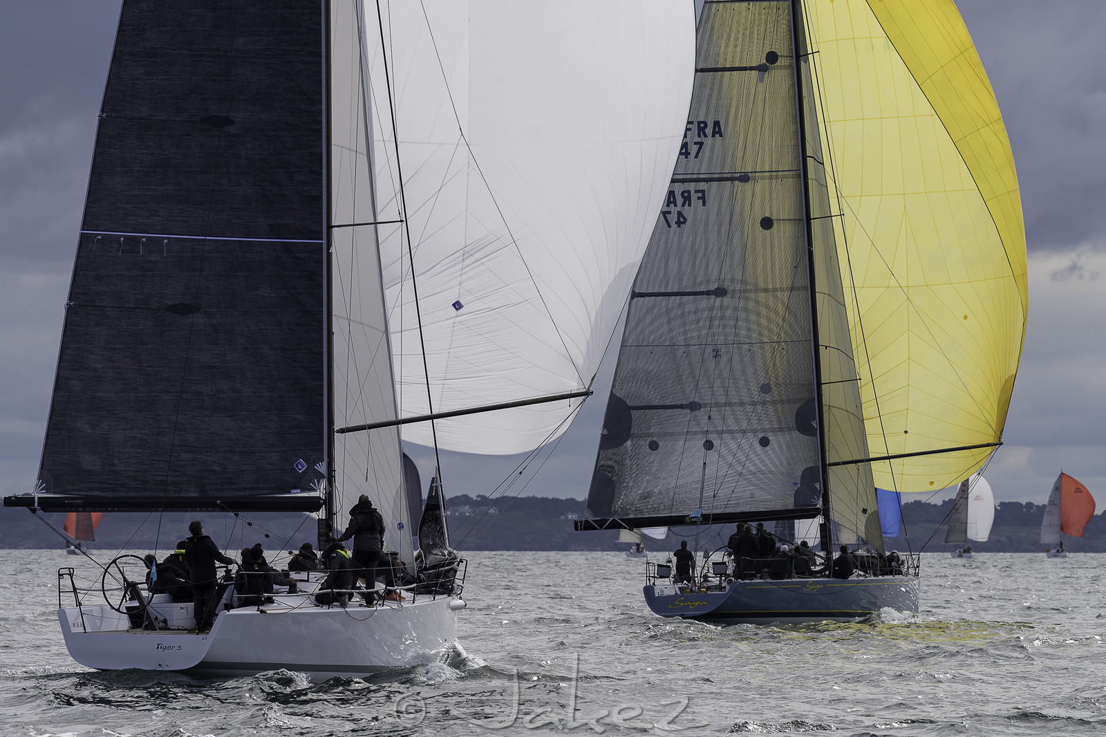 025-spi-2017.jpg