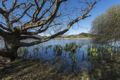 031-etang-de-trunvel.jpg