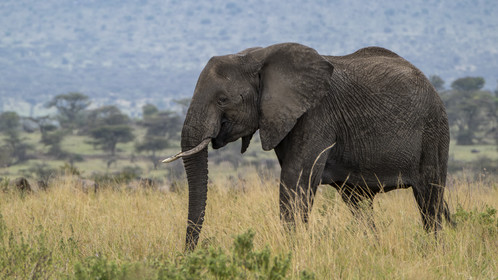 0189-tanzanie-2022.jpg
