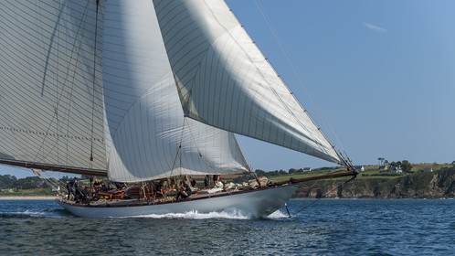 118-hoalen-2024.jpg