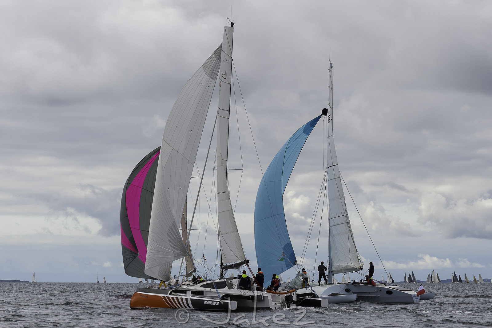 005-spi-2017.jpg