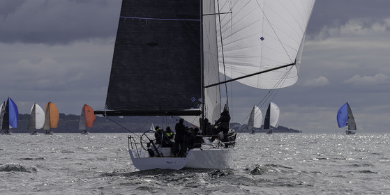 028-spi-2017.jpg