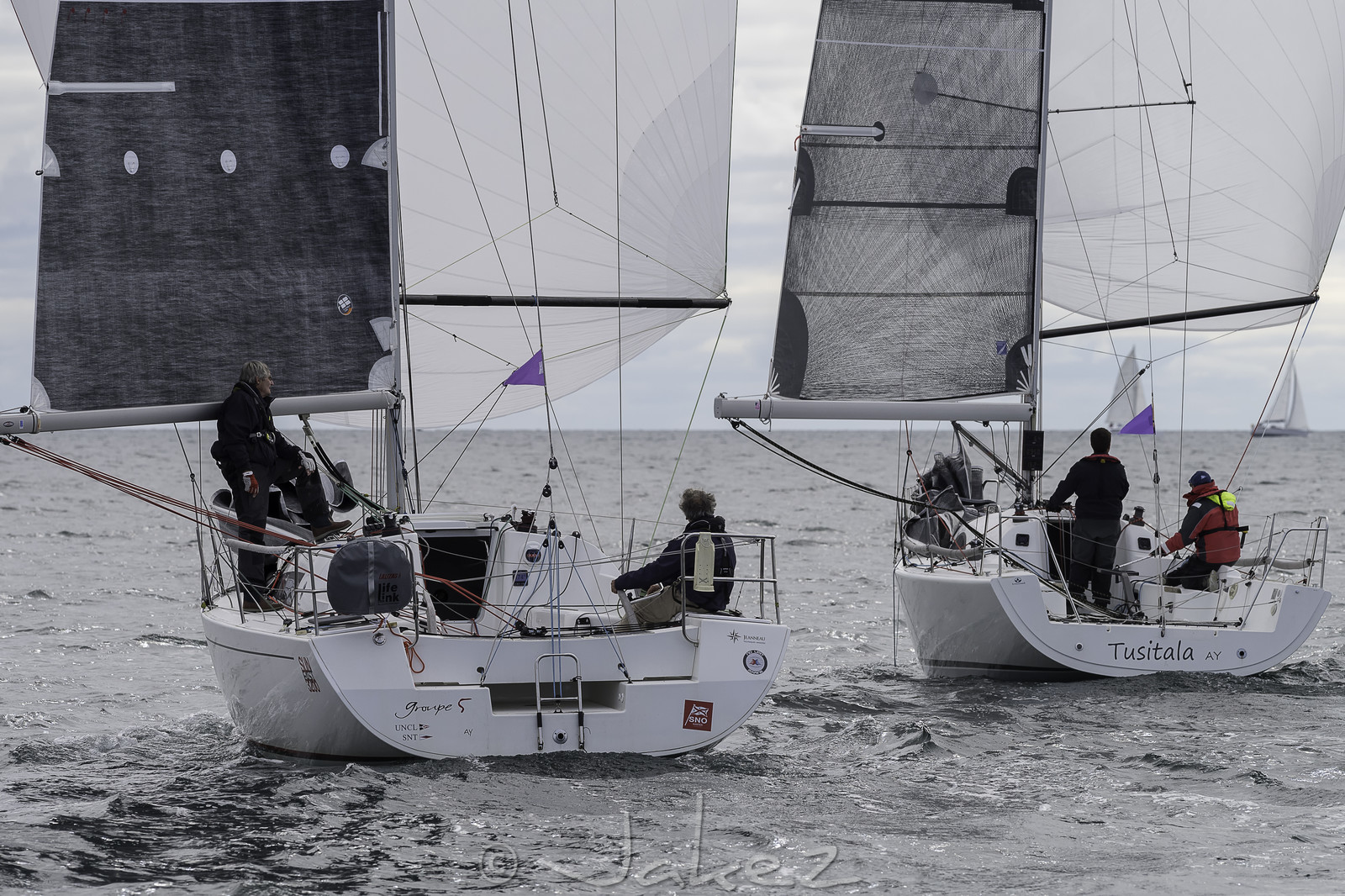 015-spi-2017.jpg