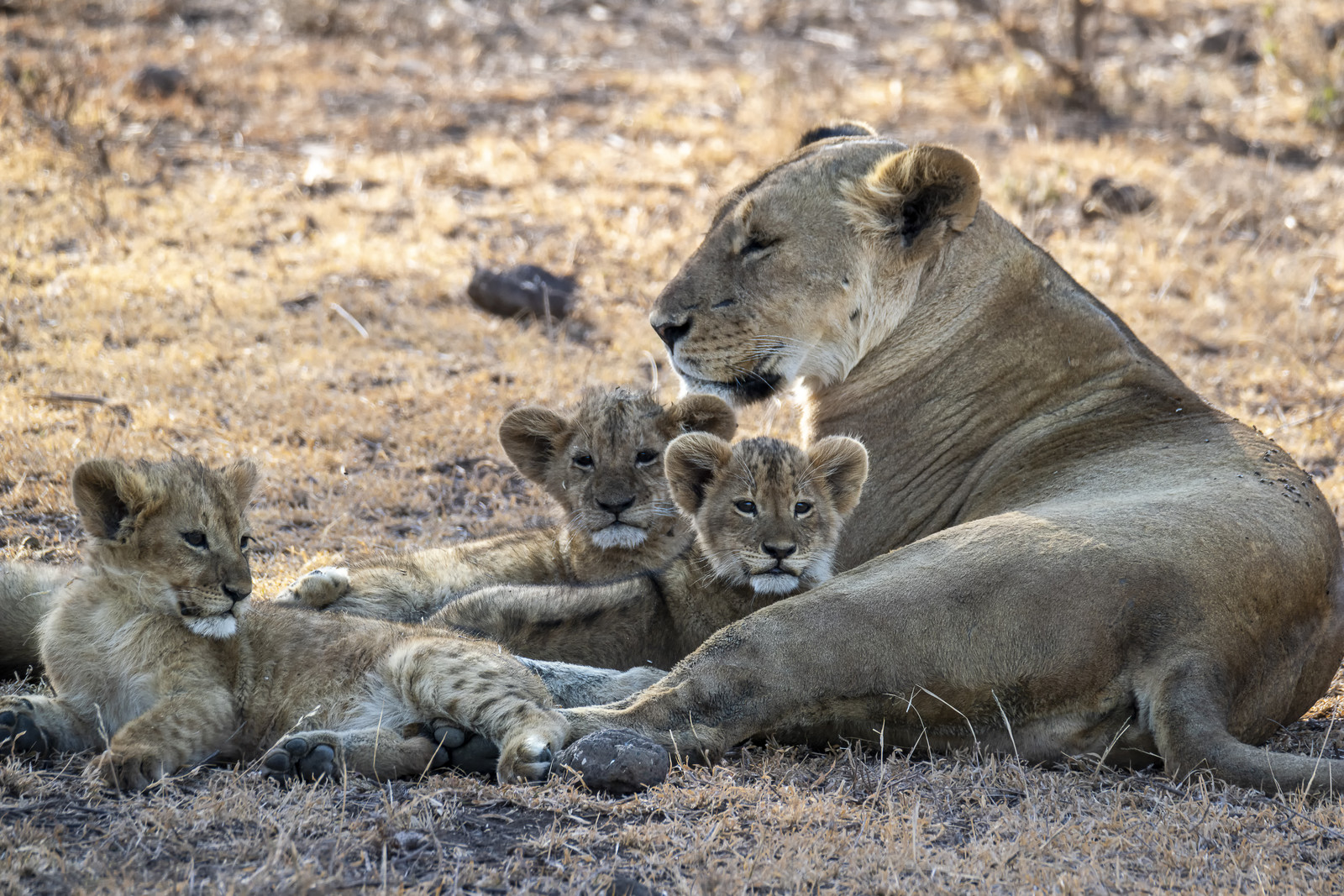 0055-tanzanie-2022.jpg