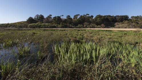 035-etang-de-trunvel.jpg