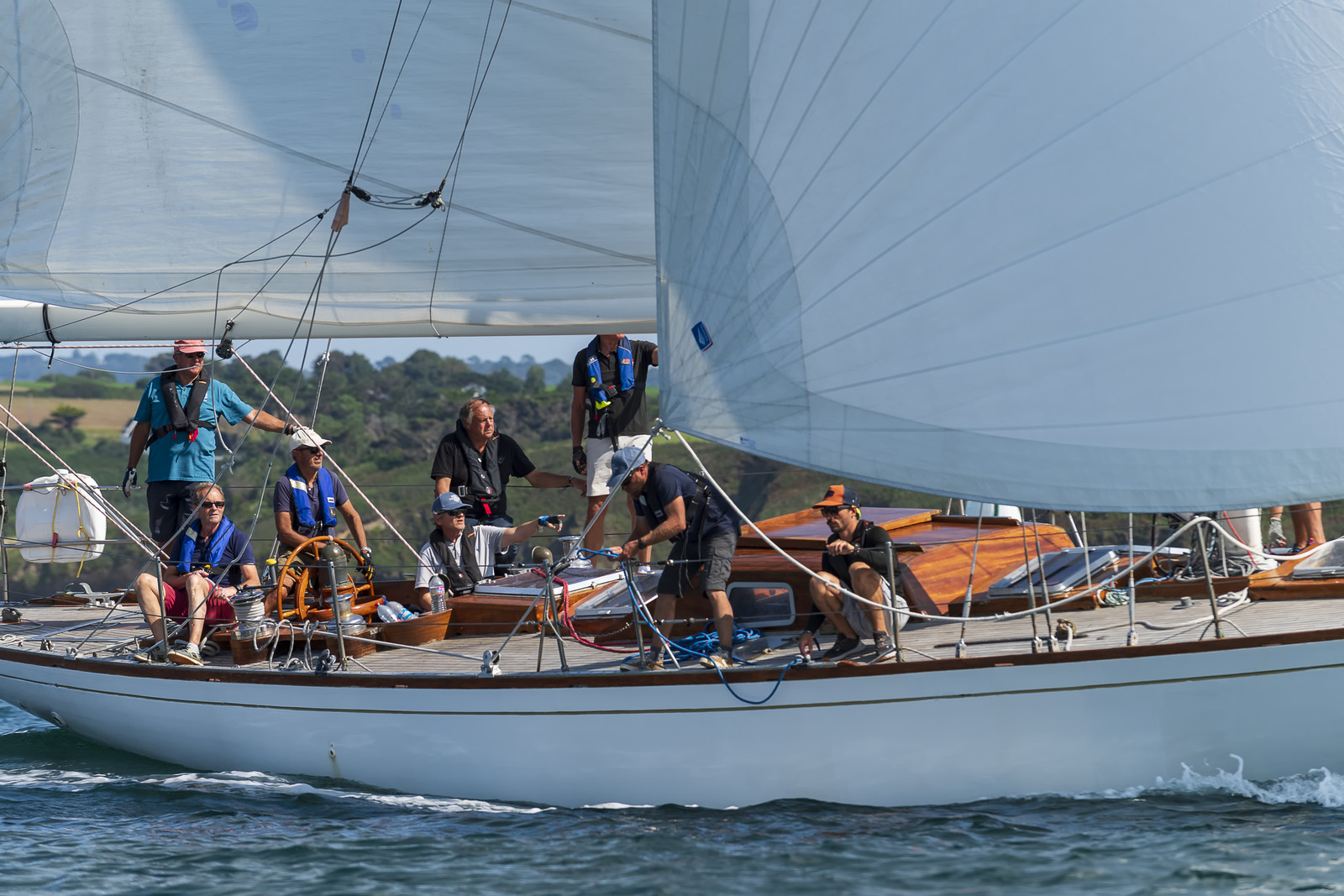 135-hoalen-2024.jpg