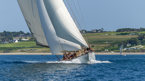 117-hoalen-2024.jpg