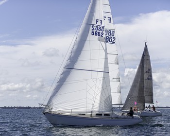 050-obelix-2015.jpg