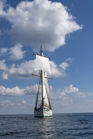 75-etoile.jpg