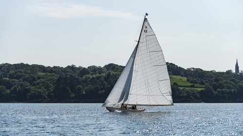 123-hoalen-2024.jpg